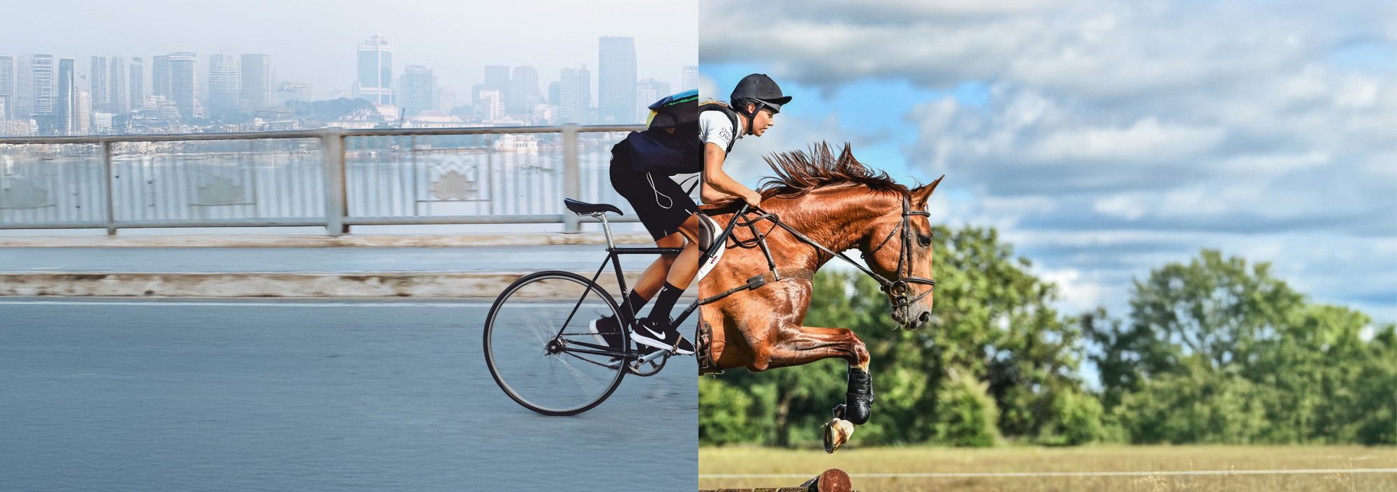 Sporten hebben meer gemeen dan ze verschillen